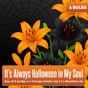 It’s Always Halloween in My Soul - Box of 6 Bulbs
