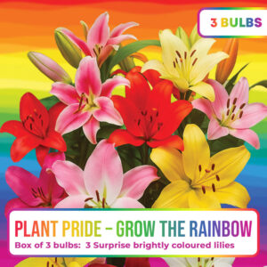 Plant Pride - Box of 3 Bulbs